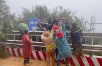 Đã đưa 2 nạn nhân trong vụ sạt lở trên đèo Khánh Lê ra ngoài