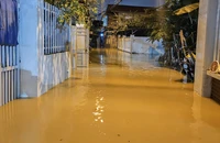Lũ về trong đêm, người Nha Trang lại thức trắng canh con nước