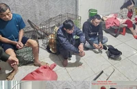Nhóm trộm chó bị khởi tố