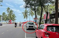 Tài xế đỗ ô tô ngược chiều ở Nha Trang bị phạt