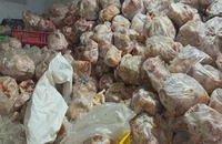 10 tấn thịt gà không nguồn gốc, xuất xứ trong kho lạnh ở Nha Trang