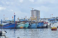 Giá xăng dầu tăng cao, nhiều tàu cá của ngư dân miền Trung tạm dừng ra khơi