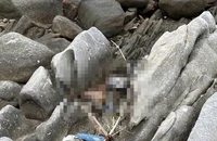 Phát hiện bộ xương người mắc kẹt trên gành đá