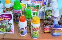 Khởi tố hai người sản xuất hàng chục tấn phân bón, thuốc bảo vệ thực vật giả