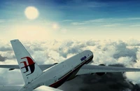 Chuyên gia Ai Cập Hammad Ismail tin rằng cơ trưởng Shah của chiếc máy bay MH370 dùng trà để thực hiện ý định đánh cáp máy bay của mình. Ảnh: AIRLINERATINGS