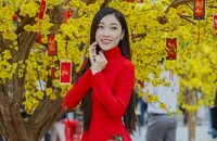Chùm ảnh: Phố ông đồ rực rỡ sắc vàng dịp Tết Tân Sửu
