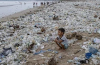 Các nhà khoa học TQ phát hiện tổ hợp vi khuẩn phân hủy nhựa. Ảnh: EPA-EFE