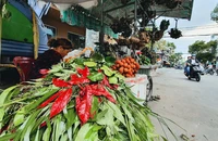 Tết Đoan Ngọ treo túi thơm, lá ngải cứu và xương rồng 