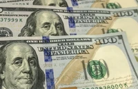 Phá két sắt trộm hơn 2.500 USD nhà cô ruột