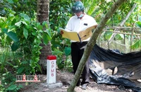 Đã bàn giao cọc mốc giải phóng mặt bằng gần 90 km cao tốc Cần Thơ - Cà Mau