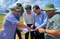 Phú Quốc bắt quả tang 3 người có hành vi hủy hoại rừng đặc dụng