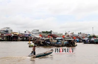 Cần Thơ khai mạc Ngày hội Du lịch 'Văn hóa chợ nổi Cái Răng'