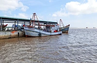 Sóc Trăng thống nhất quy hoạch khu cảng biển Trần Đề đón tàu tải trọng lớn