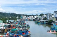 Kiên Giang phát hiện và xử lý 146 vụ tàu cá vi phạm hành chính 