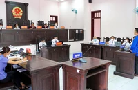 Hậu Giang: Các bản án hình sự đảm bảo đúng người, đúng tội