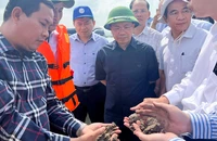 Đầu năm 2023 sẽ khởi công đồng loạt 12 dự án thành phần cao tốc Bắc - Nam