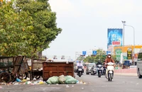 Cần Thơ: Chiếm lòng đường làm bãi tập kết rác gây mất an toàn giao thông