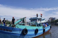 1 chủ tàu cá ở Kiên Giang bị phạt hơn 2,3 tỉ đồng 