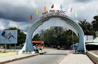 Phú Quốc: Đề nghị truy tố 4 bị can tội hủy hoại rừng