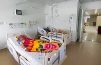 1 người tử vong, 2 người nhập viện sau tiệc nhậu với cá nóc