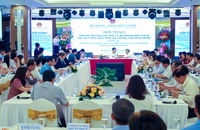 Người lao động ở các địa phương phía Nam đi làm việc ở nước ngoài thấp