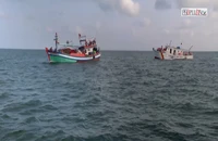 Video: Kinh tế biển - Đòn bẩy giúp Bạc Liêu 'vươn khơi'