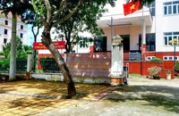 Hậu Giang: Án về tín dụng ngân hàng chỉ thi hành được 113 việc