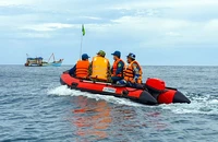 Phó Thủ tướng Trần Lưu Quang: Quyết liệt các giải pháp chống khai thác IUU