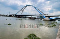 Cần Thơ lý giải việc chưa đưa cầu Trần Hoàng Na vào khai thác trước tết