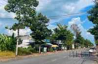 Chủ tịch Hậu Giang chỉ đạo giải quyết các vấn đề tại dự án treo khu đô thị Lê Quý Đôn