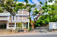 Công an Sóc Trăng khởi tố vụ án nhận hối lộ liên quan cấp phù hiệu xe