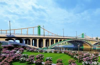 Cần Thơ phê duyệt kết quả thi tuyển phương án kiến trúc cầu Bình Thủy