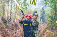 Kiên Giang: Cháy rừng tràm ở huyện Giang Thành 