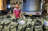Kiên Giang: Bắt xe tải gắn biển số giả để vận chuyển thuốc lá lậu