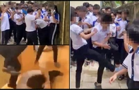 Hậu Giang: Xảy ra 99 vụ bạo lực học đường trong 5 năm học