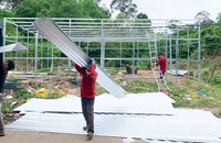 1 người từ Đồng Nai ra TP Phú Quốc chiếm đất rừng đặc dụng xây nhà để bán 