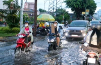 TP Cần Thơ: Cảnh báo ngập nhiều nơi trong tháng 8 âm lịch do triều cường 