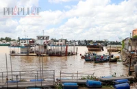 TP Cần Thơ đề nghị chấn chỉnh tình trạng đò ngang không phép ở bến Ninh Kiều 