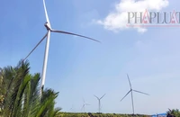 Tỉnh Sóc Trăng còn 8 dự án điện gió đã cấp chủ trương nhưng chưa thi công 