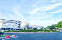 Tỉnh Cà Mau: 9 tháng đầu năm thi hành kỷ luật 223 đảng viên