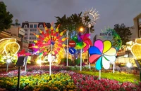 Một số hoạt động mừng Tết Nguyên đán Ất Tỵ 2025 tại TP Cần Thơ