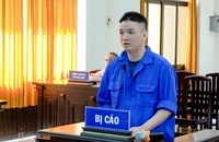 Lãnh án vì thuê, mượn xe ô tô rồi đem cầm để lấy tiền tiêu xài
