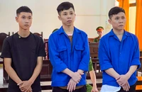 3 bị cáo đốt xe cuốc ở Phú Quốc lãnh án