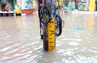 Mực nước đầu nguồn sông Cửu Long tiếp tục lên và đạt đỉnh trong 2 ngày tới