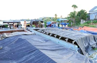 CSGT An Giang bắt quả tang 7 phương tiện thủy vận chuyển trái phép đất mặt 