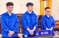 Cựu nhân viên ngân hàng nhờ bạn thân giả làm khách cần đáo hạn để lừa đảo