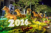 Khai mạc đường hoa nghệ thuật Cần Thơ mừng Xuân Bính Ngọ 2026