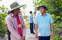 Siết chặt quản lý, ngăn chặn tình trạng lấn chiếm đất lâm nghiệp tại Mũi Cà Mau