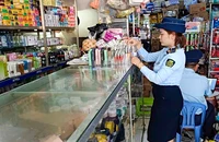 Cà Mau ra quân kiểm tra chống buôn lậu và hàng giả