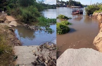 1 xã ở Cần Thơ xuất hiện 69 điểm sạt lở, nhiều tuyến đường bị chia cắt 